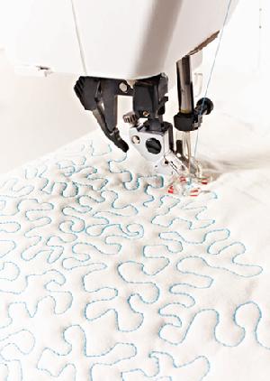 Pfaff Select Freemotion "Stippling"